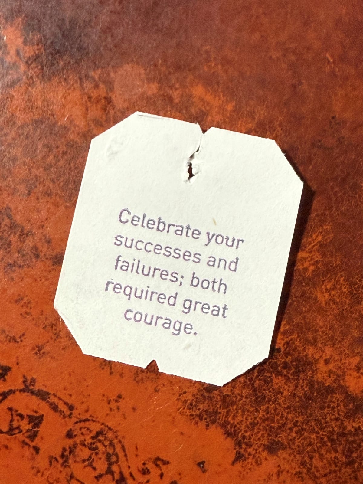 Burlesque Backstage Pass (Article 5) – When the Curtain Closes: the Role of Rejection